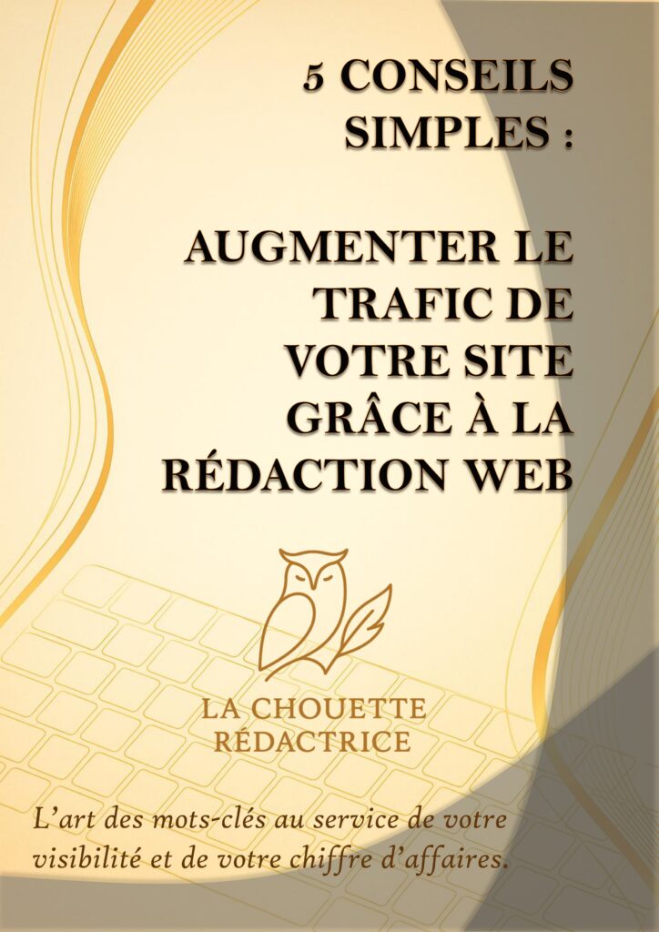 Couverture de l’e-book “5 conseils simples pour augmenter le trafic de votre site grâce à la rédaction web”